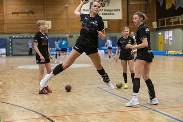 Bild 165 - wCJ SV Henstedt Ulzburg - HSG Herzhorn/Kollmar/Neuendorf : Ergebnis: 35:29